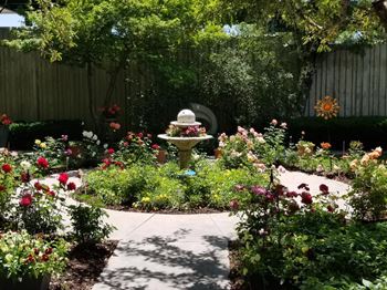 Community garden